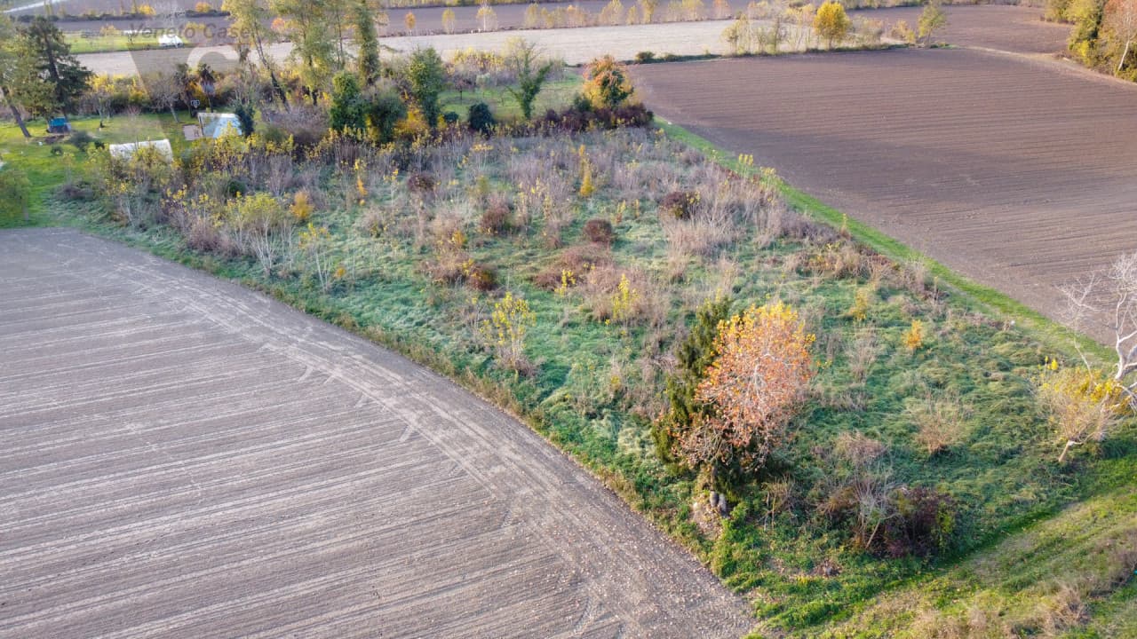 Roncaglia – Terreno Agricolo 3