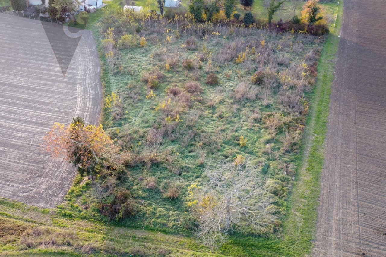 Roncaglia – Terreno Agricolo 4