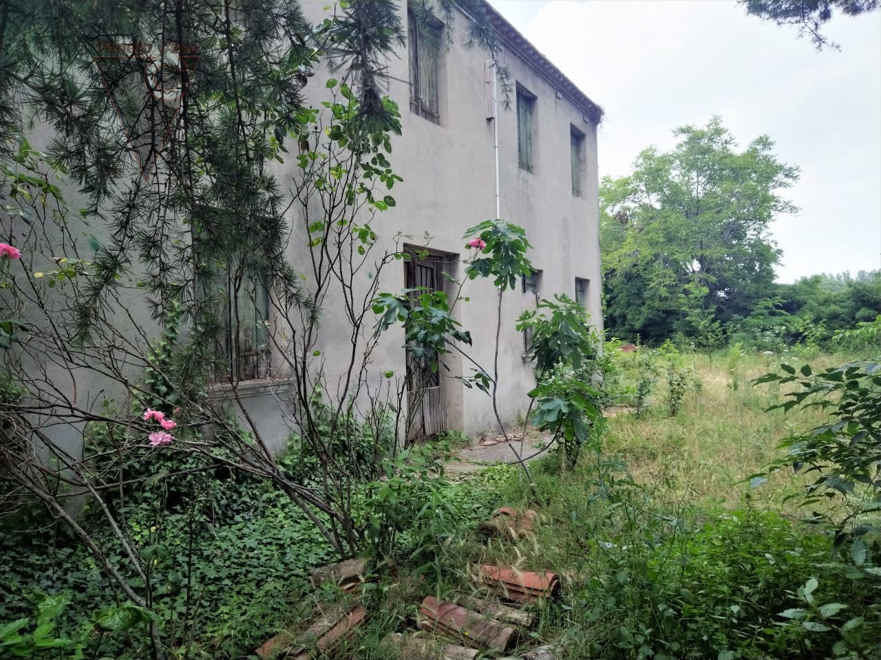 Saonara - Rustico A Casone 4