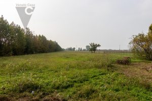 Immagine Casalserugo - Terreno Agricolo - 7070248 - 8368850 - Venetocase