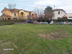 Immagine S. Angelo Di Piove Di Sacco – Centralissimo Terreno Ideale Per La Tua Casa Singola - 6888125 - 8398756 - Venetocase