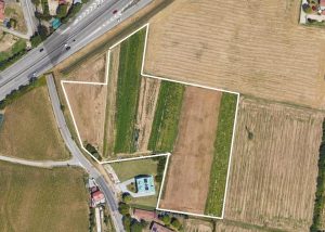Immagine Terreno Agricolo In Vendita Tra Padova E Ponte San Nicolò - 7467840 - 8419220 - Venetocase
