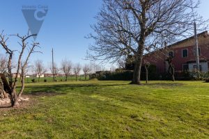 Immagine Rio - Terreno Edificabile Residenziale 600 Mc - 7719180 - 8369883 - Venetocase