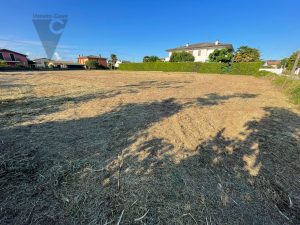 Immagine Legnaro – Terreno Edificabile Per Casa Singola - 8249996 - 8365216 - Venetocase
