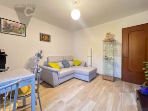 Immagine Adria -  Appartamento Bilocale - 8340886 - 8396568 - Venetocase