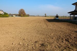 Immagine Lotto Edificabile - 8395471 - 8401148 - Venetocase