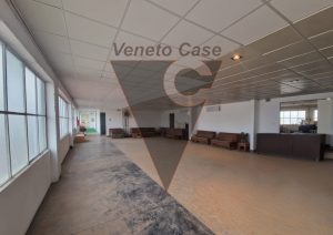 Immagine Padova - Zona Industriale Est - Magazzino/showroom Con Uffici - 8407560 - 8419064 - Venetocase