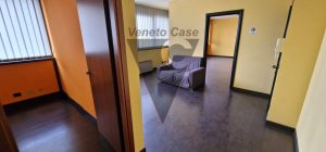 Immagine Padova - Zona Industriale Est - Uffici Luminosi - 8409672 - 8418771 - Venetocase