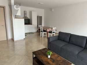 Immagine Ultima Stanza Singola Disponibile Per Studentessa - 8417866 - 8422428 - Venetocase