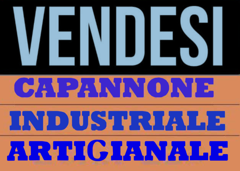 Immagine Portoviro - Capannone Artigianale - 8437818 - 8437822 - Venetocase